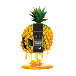 PlugPlay DNA – Pineapple Express