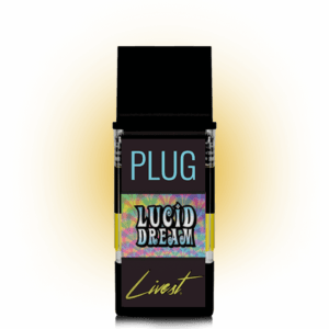 PlugPlay Livest – Lucid Dream